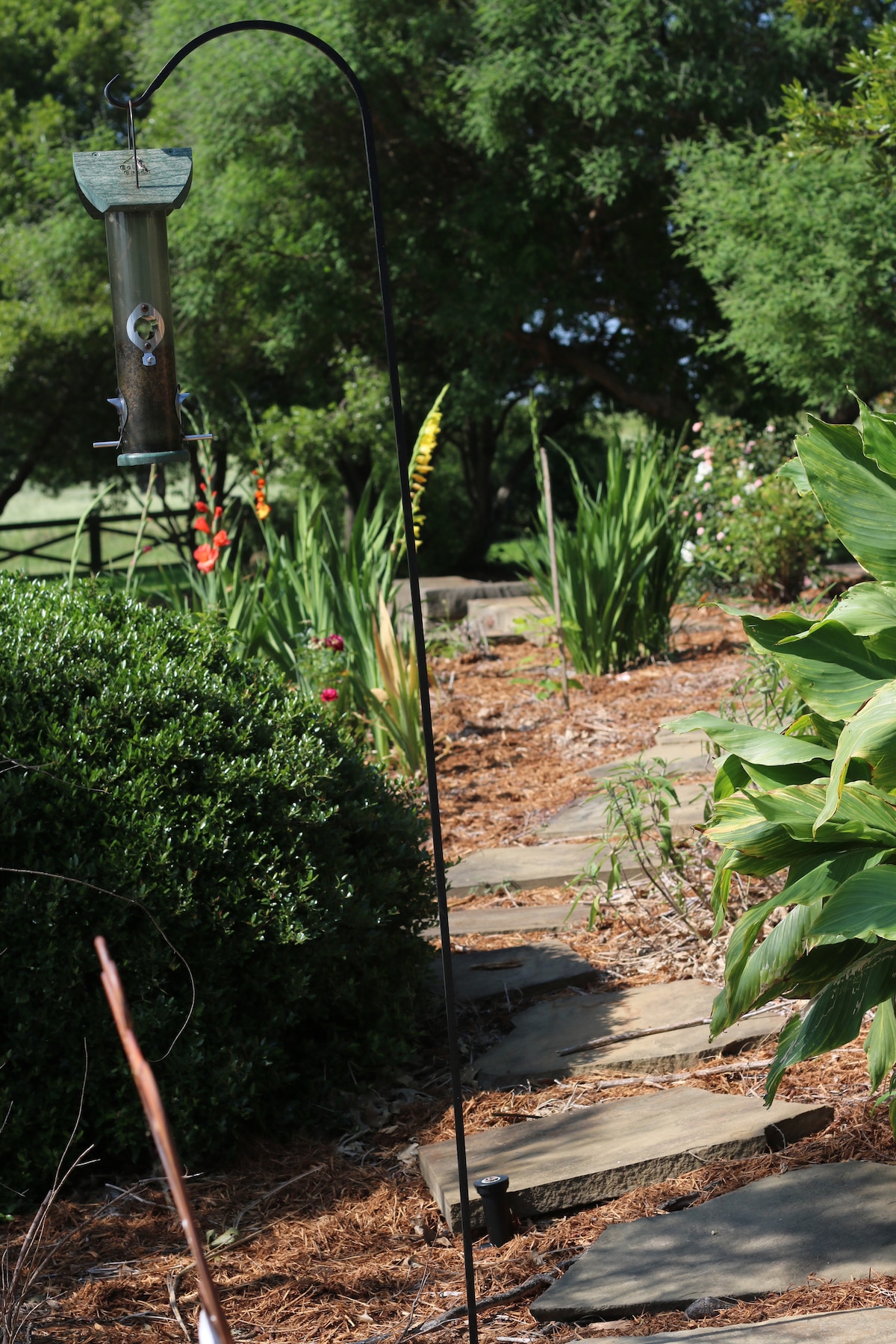 Peaceful garden path lined with flowers