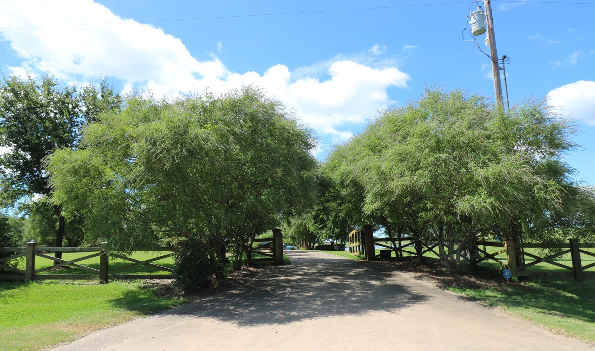 Tree-lined driveway to the farmhouse