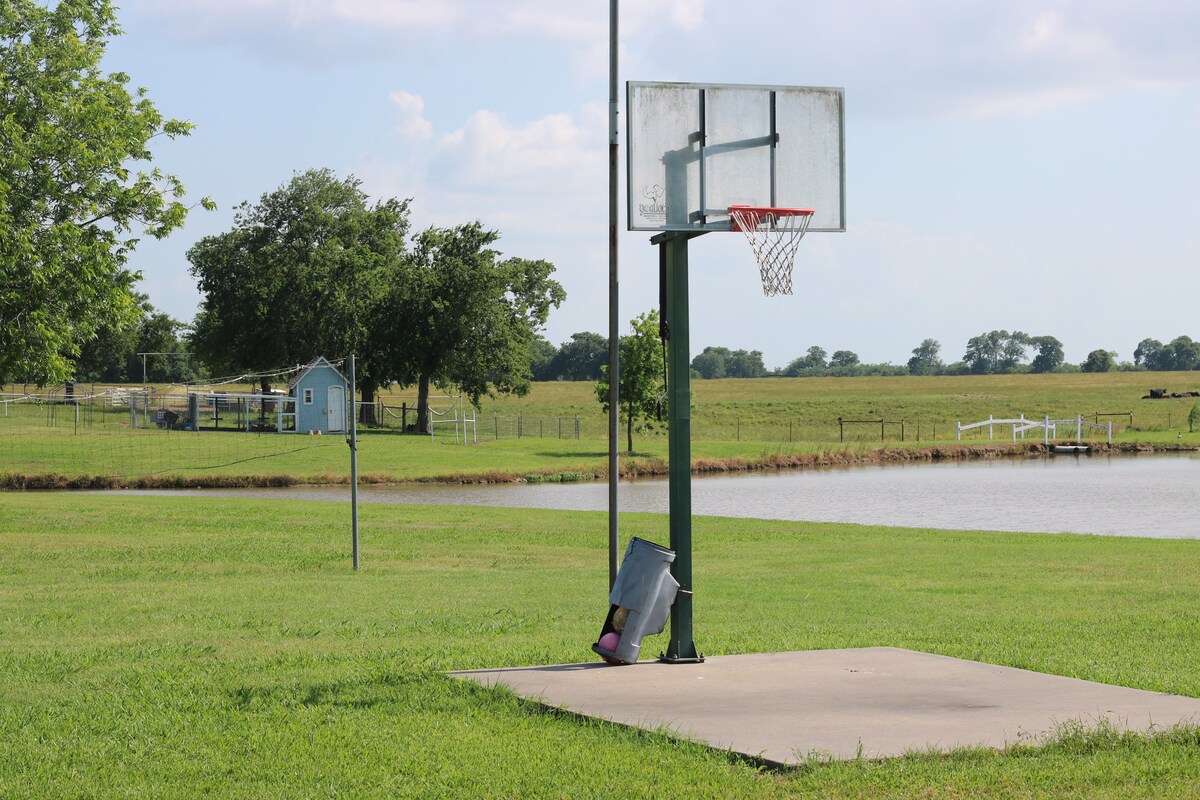 Basketball hoop on the lawn