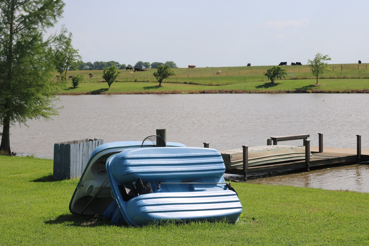 Paddle boat and dock on the pond